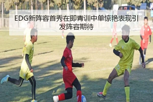 EDG新阵容首秀在即青训中单惊艳表现引发阵容期待